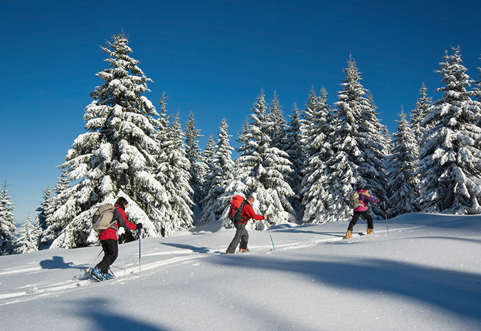 Activites Skiderandonnee Montblanc